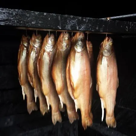 Przystan Pilawa Апартаменты *