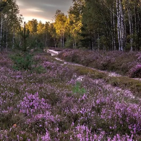 Апартаменты Przystan Pilawa *