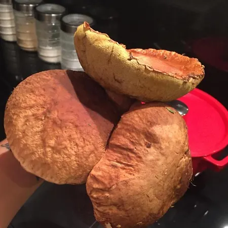Lägenhet Przystan Pilawa Borne Sulinowo