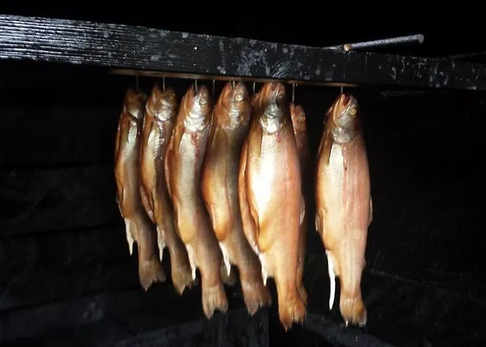 Przystan Pilawa Apartamento *