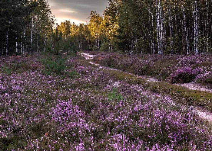 Apartamento Przystan Pilawa *