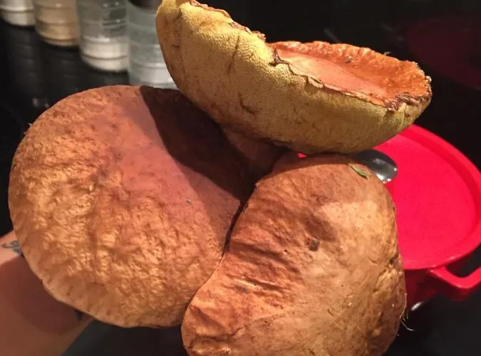 Apartman Przystan Pilawa Borne Sulinowo