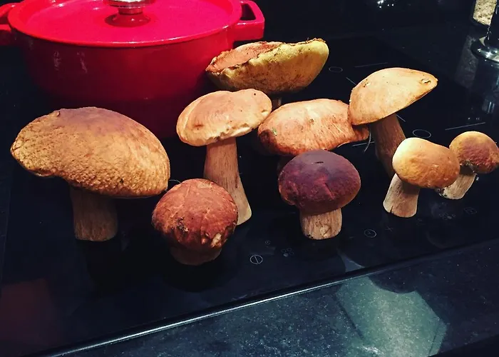 Apartamento Przystan Pilawa Borne Sulinowo