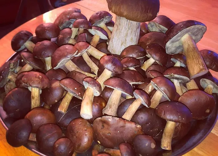 Apartamento Przystan Pilawa Borne Sulinowo