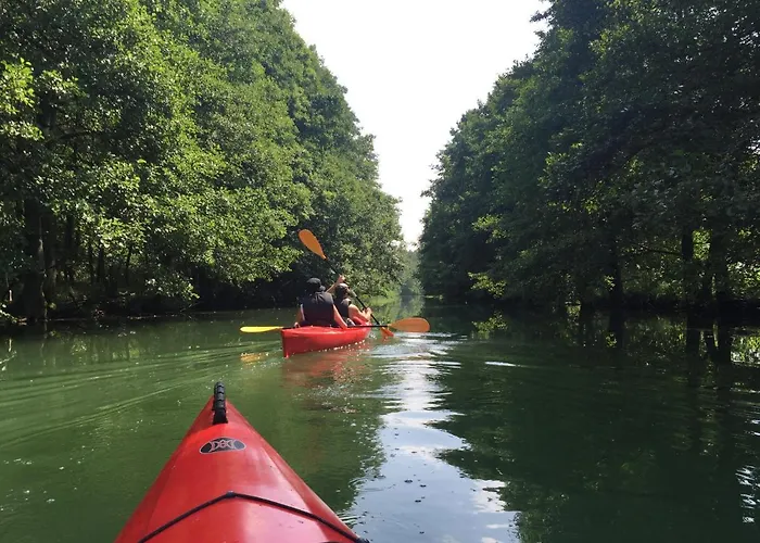 Przystan Pilawa Apartamento